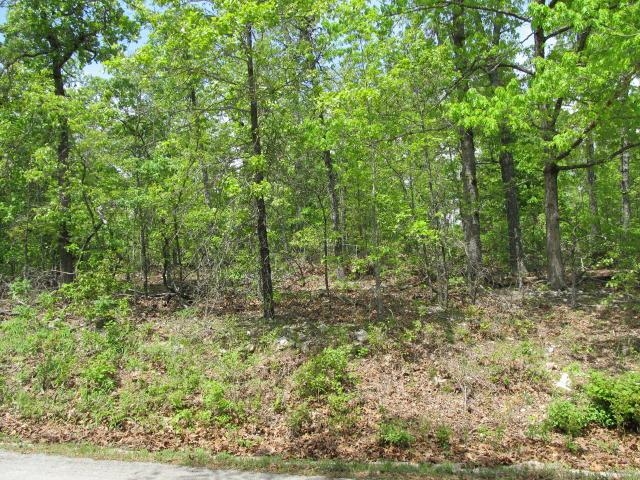 Photo 3 - Vacant Land for sale – 0000  Gin Mill   Ash Flat, AR