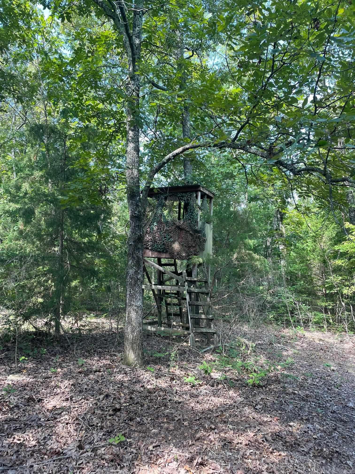 Photo 12 - Vacant Land for sale – 768  Rocky Hill Trail   Mammoth Spring, AR