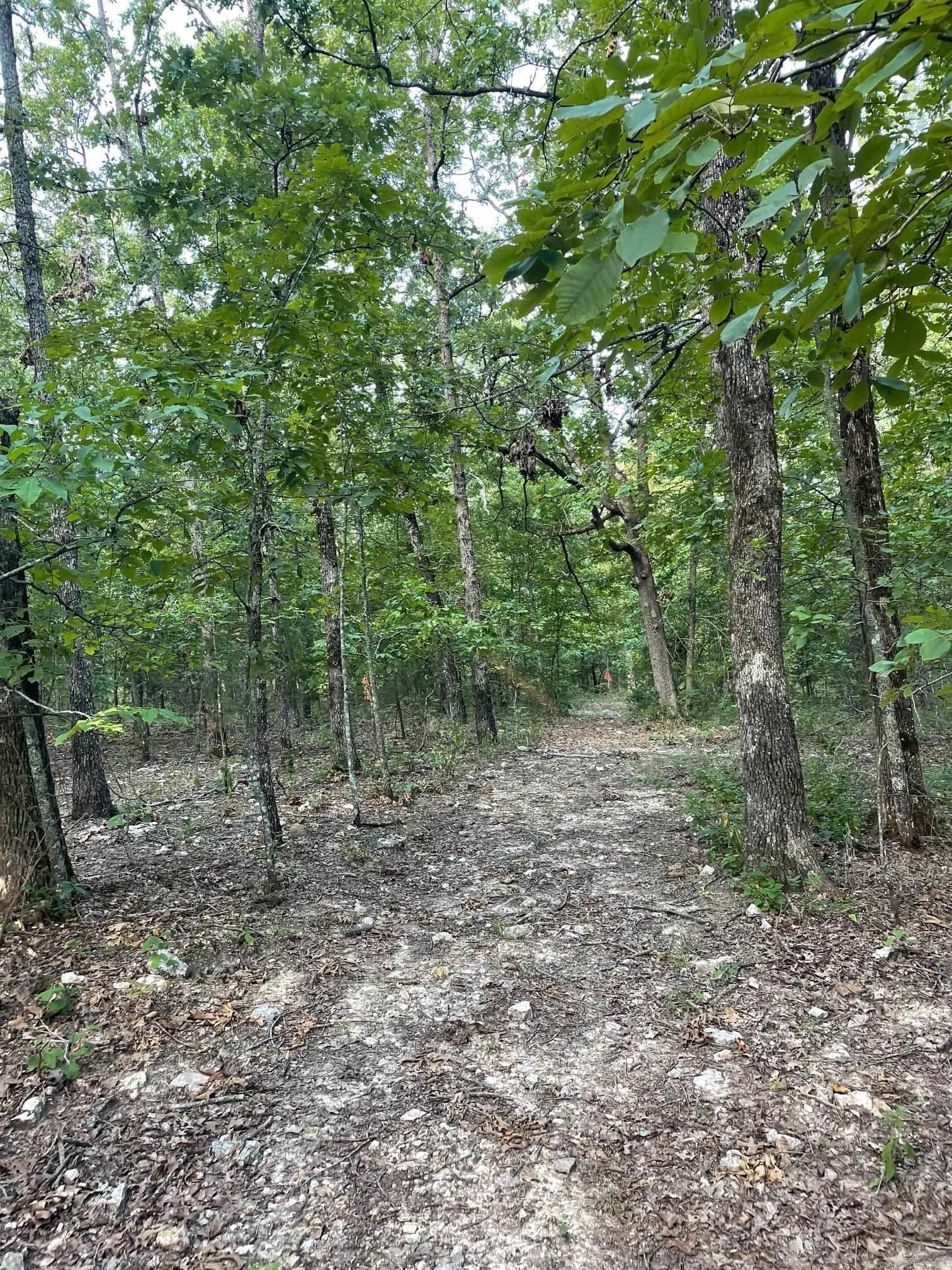 Photo 14 - Vacant Land for sale – 768  Rocky Hill Trail   Mammoth Spring, AR