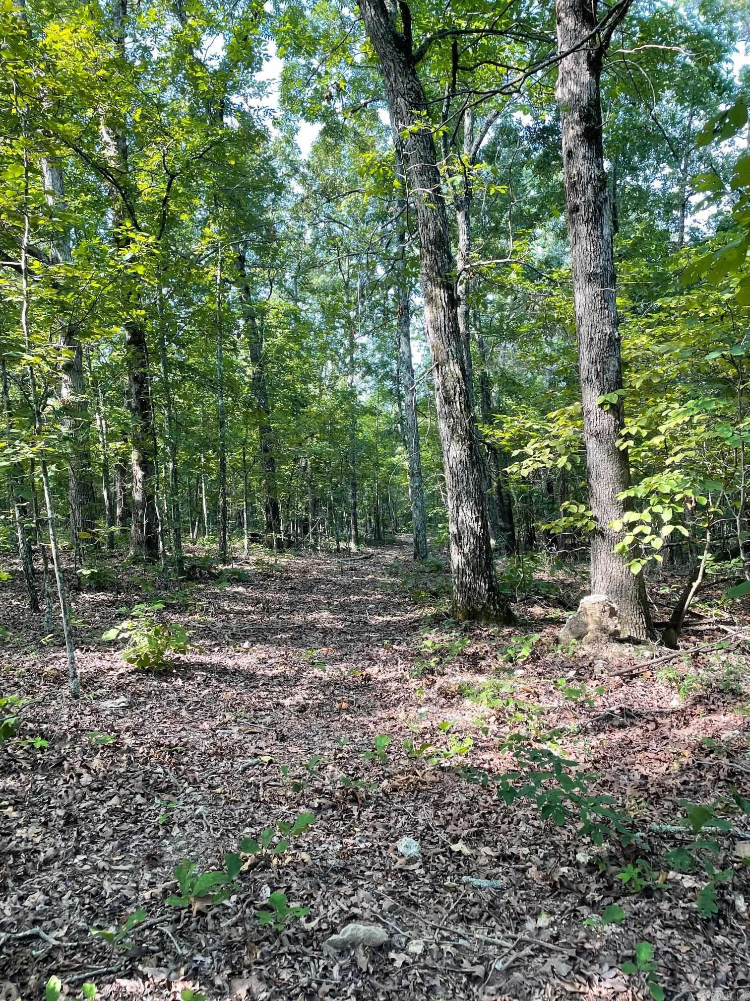 Photo 15 - Vacant Land for sale – 768  Rocky Hill Trail   Mammoth Spring, AR