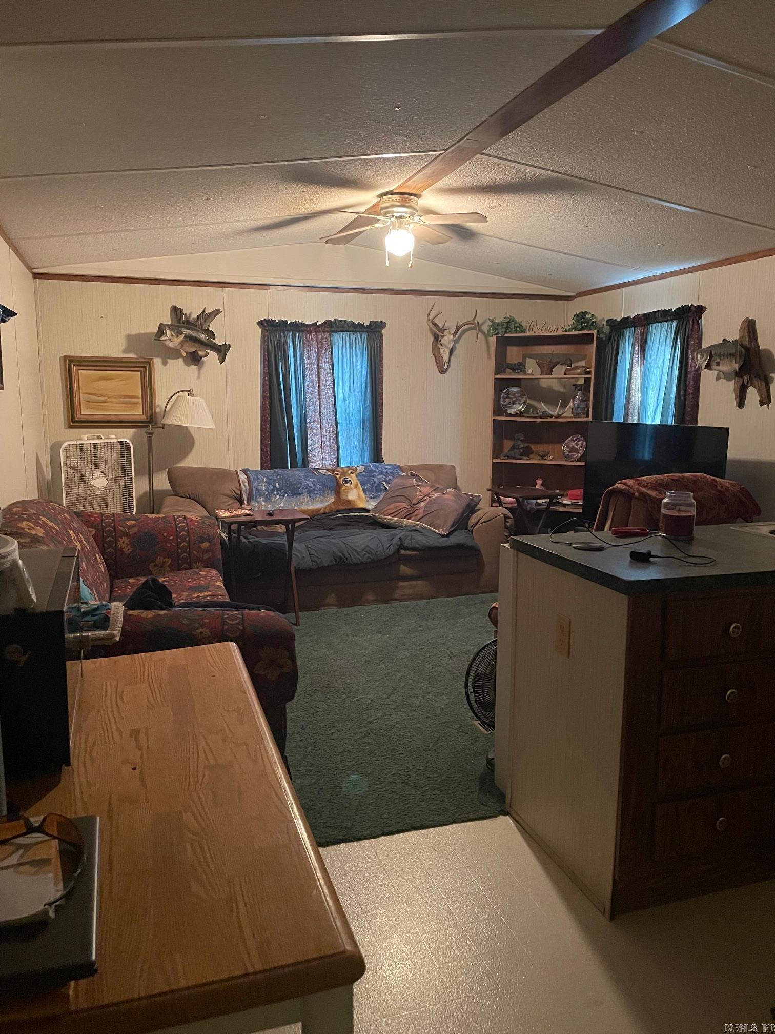 Photo 17 - Vacant Land for sale – 768  Rocky Hill Trail   Mammoth Spring, AR