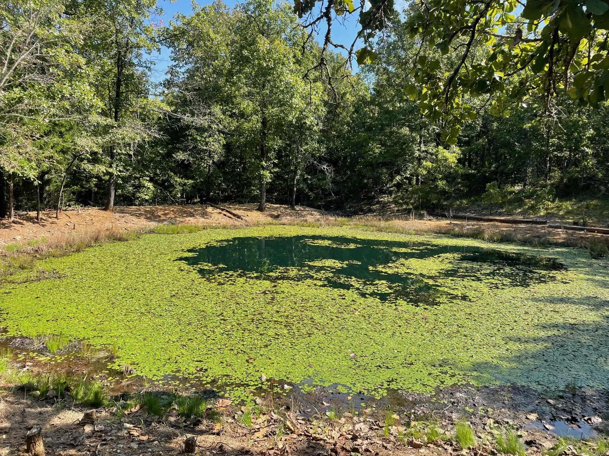 Photo 9 - Vacant Land for sale – 768  Rocky Hill Trail   Mammoth Spring, AR