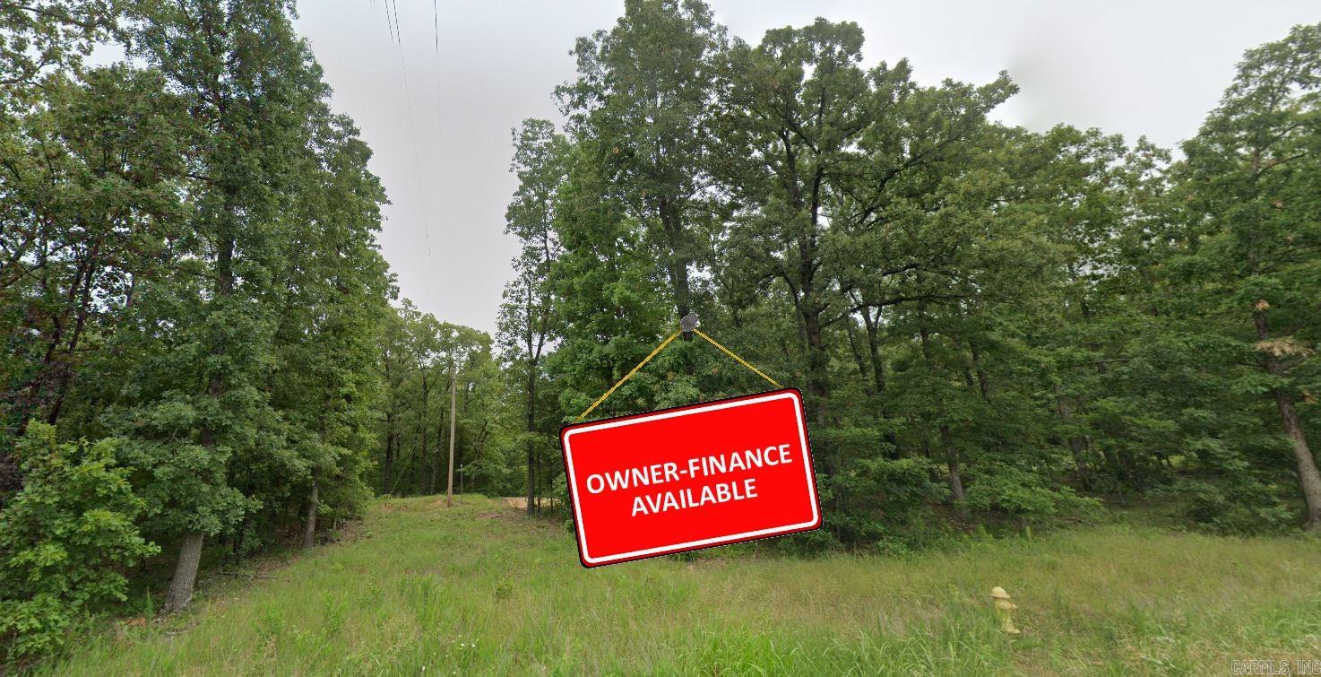 Photo 2 - Vacant Land for sale – 0  Adam   Cherokee Village, AR