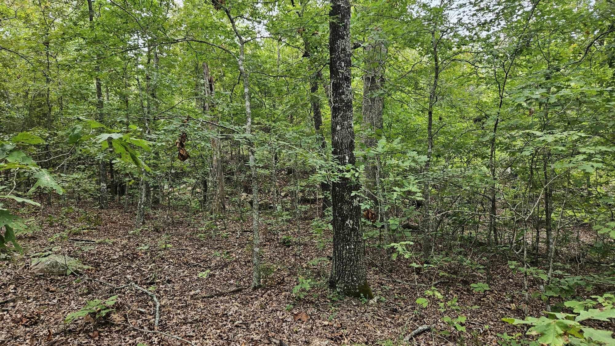 Photo 13 - Vacant Land for sale – 102 N Mother Lode   Horseshoe Bend, AR