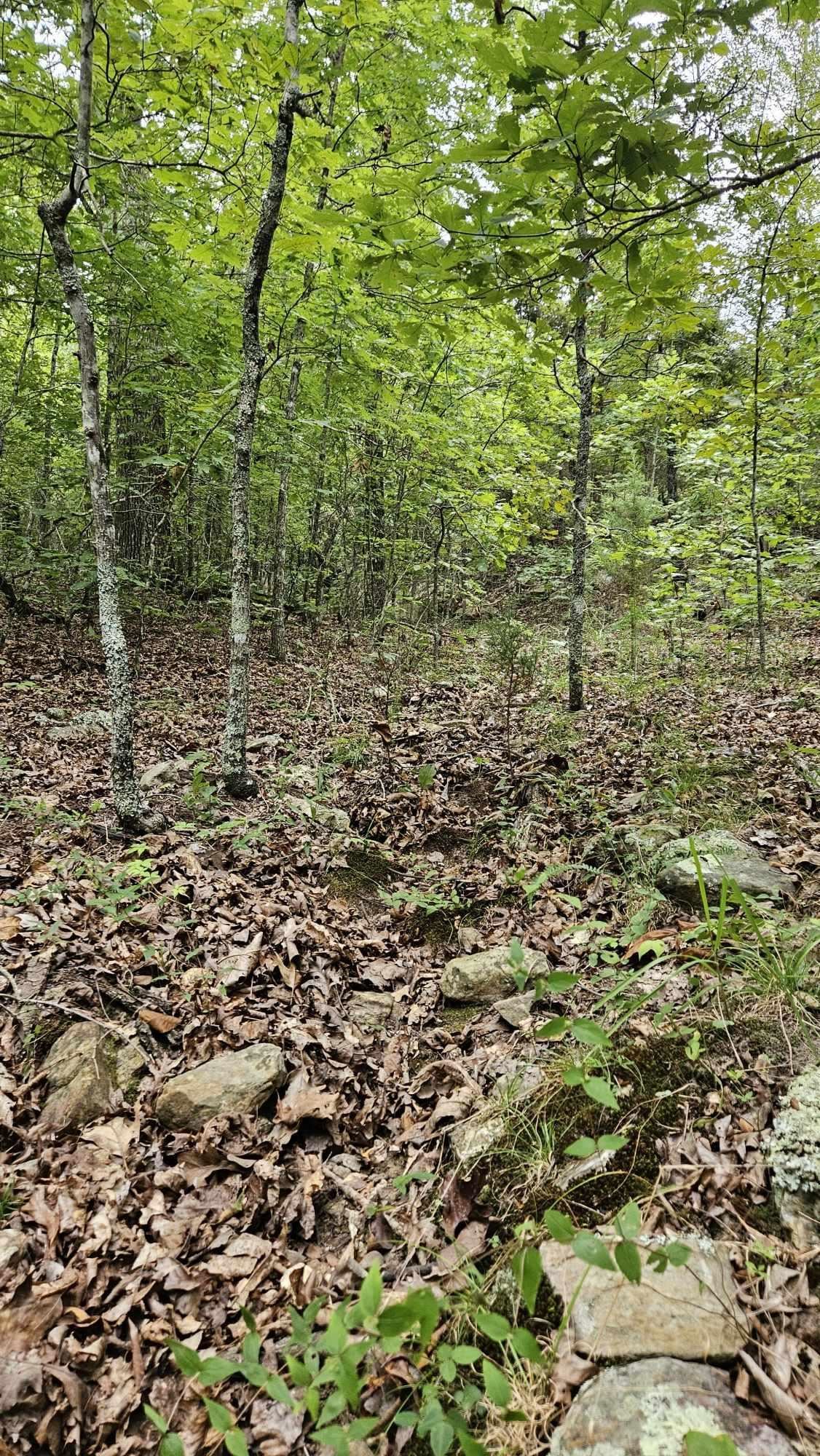 Photo 16 - Vacant Land for sale – 102 N Mother Lode   Horseshoe Bend, AR