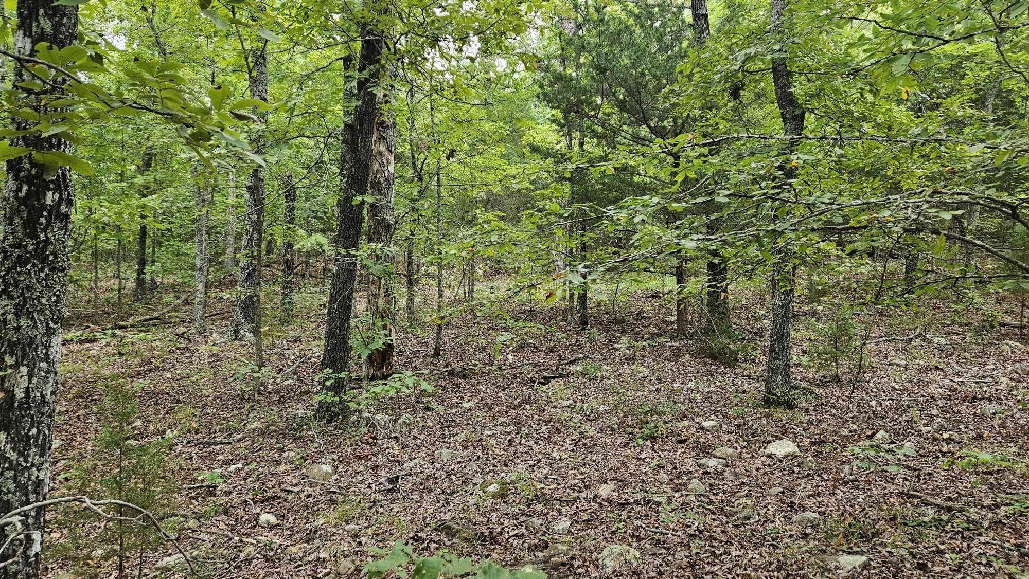 Photo 8 - Vacant Land for sale – 102 N Mother Lode   Horseshoe Bend, AR