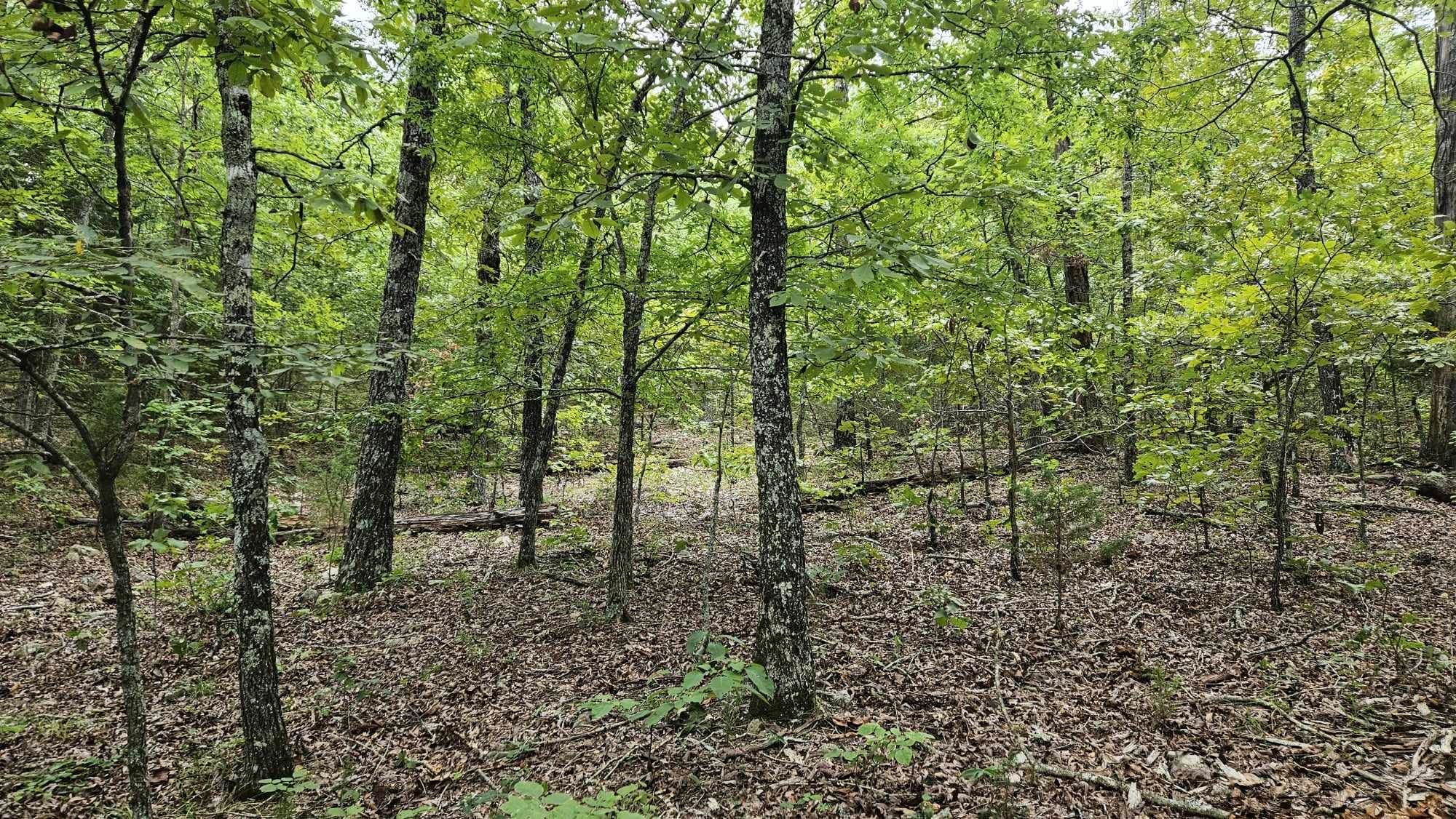 Photo 9 - Vacant Land for sale – 102 N Mother Lode   Horseshoe Bend, AR
