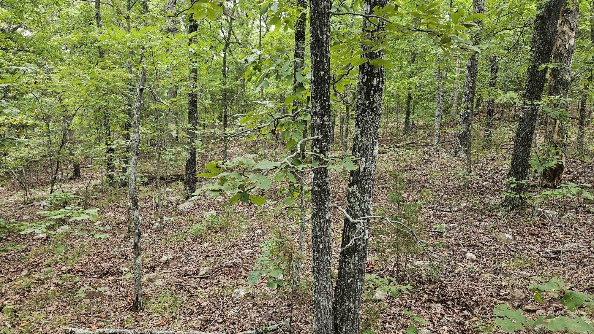 Photo 10 - Vacant Land for sale – 102 N Mother Lode   Horseshoe Bend, AR