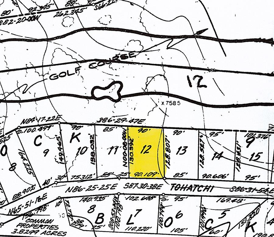 Photo 3 - Vacant Land for sale –   Tohatchi   Cherokee Village, AR