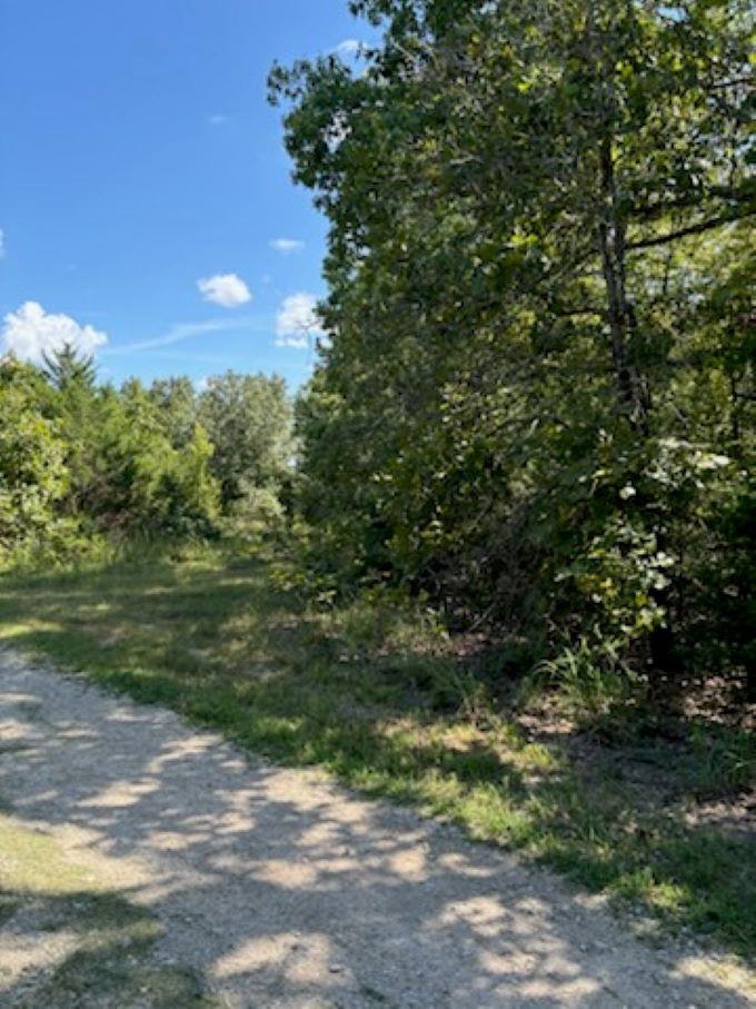 Farm/Ranch/Land for sale – 00  Off FM 101 Rd   Highland, AR