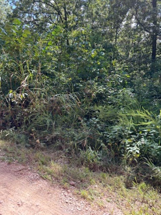 Farm/Ranch/Land for sale – 00  Off FM 101 Rd   Highland, AR