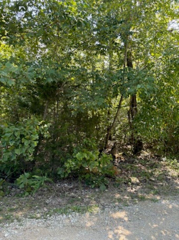 Farm/Ranch/Land for sale – 00  Off FM 101 Rd   Highland, AR