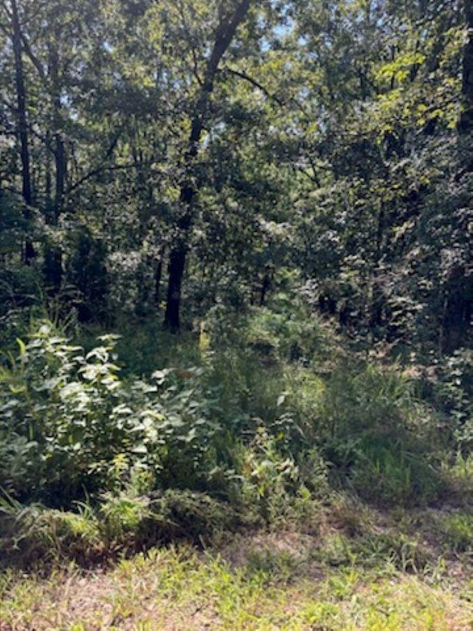Farm/Ranch/Land for sale – 00  Off FM 101 Rd   Highland, AR