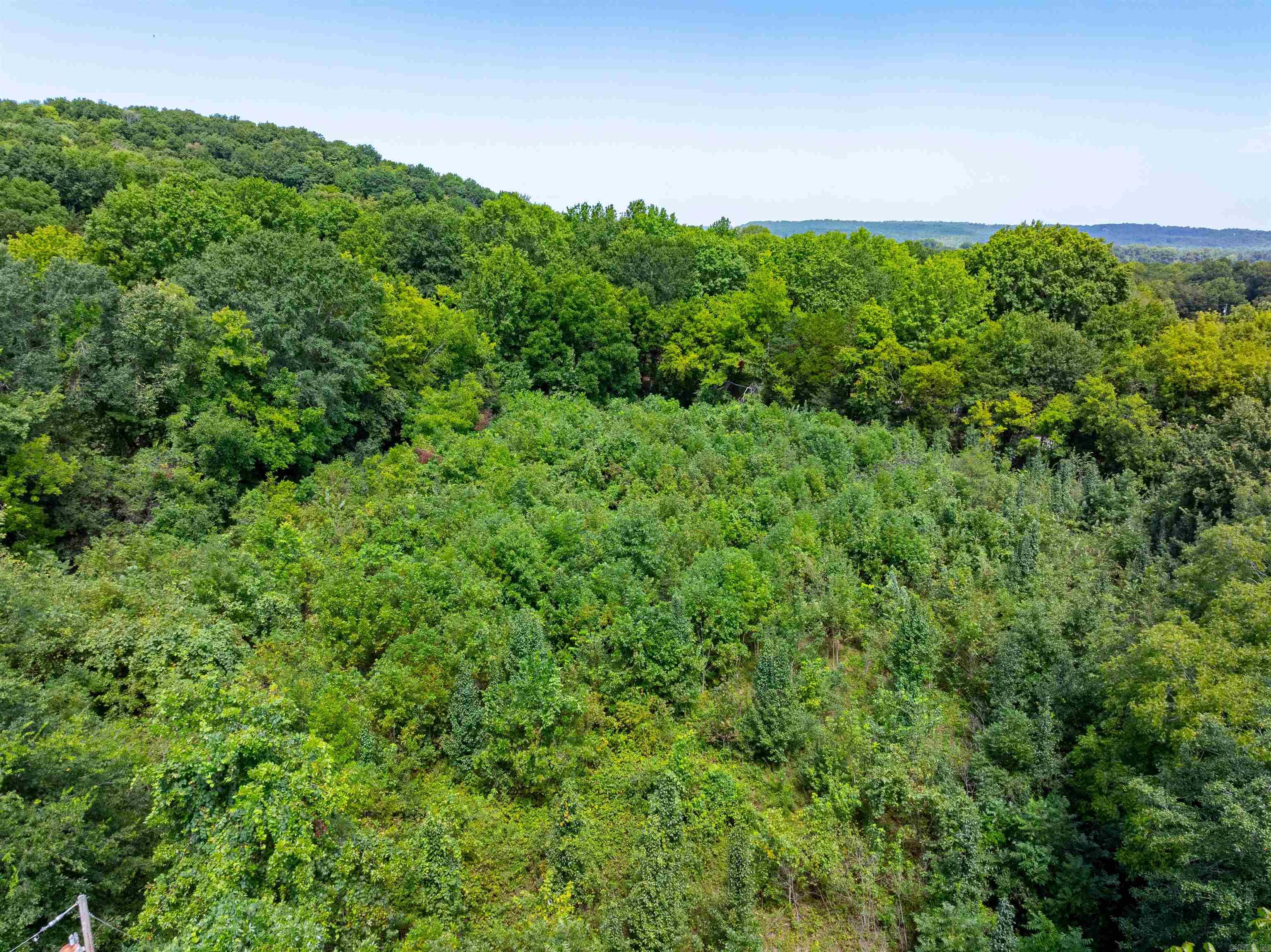 Photo 14 - Residential for sale – 64  Lock 2 Rd   Locust Grove, AR