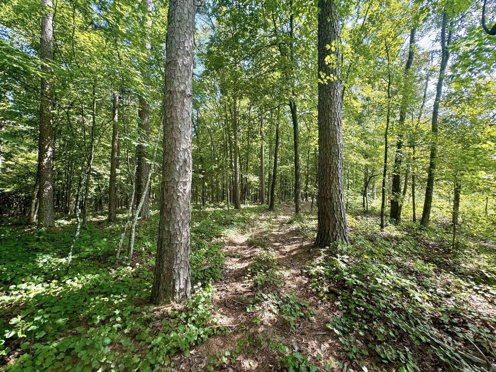 Photo 41 - Residential for sale – 1499  Sutterfield Road   Fox, AR
