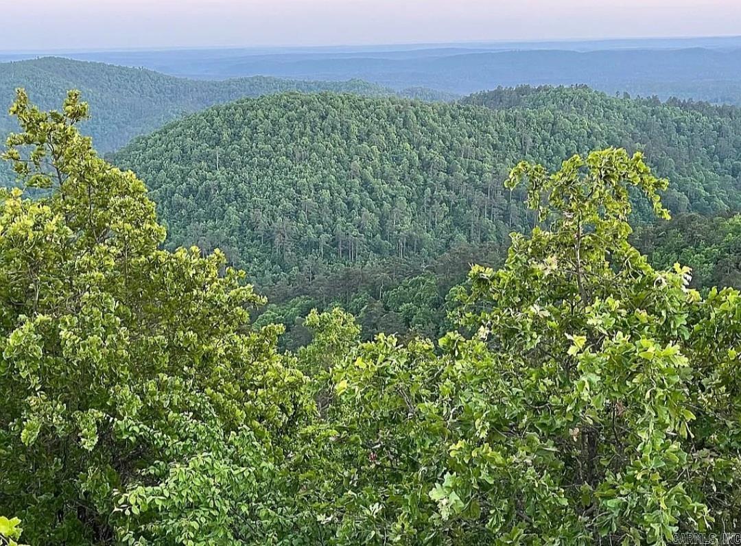 Vacant Land for sale – Unk  Polk Road 615   Mena, AR