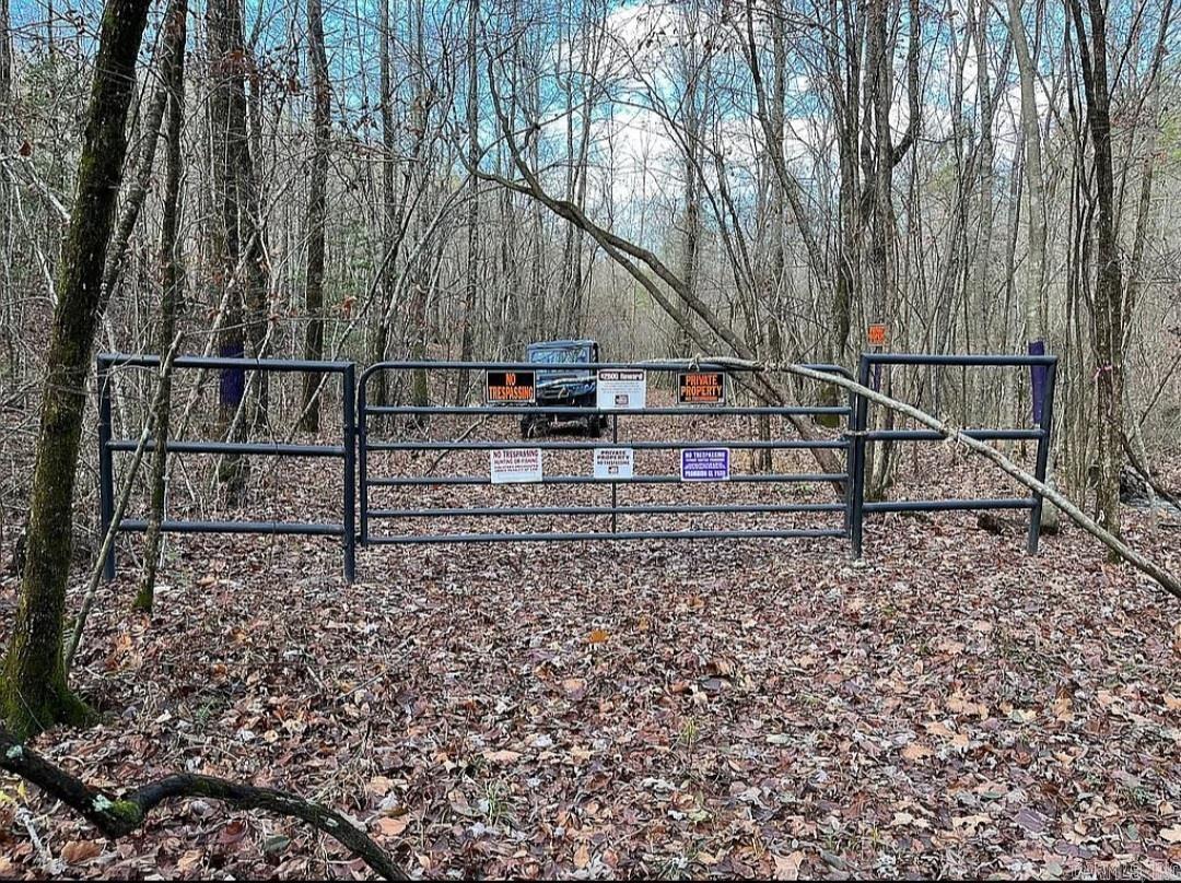 Photo 15 - Vacant Land for sale – Unk  Polk Road 615   Mena, AR