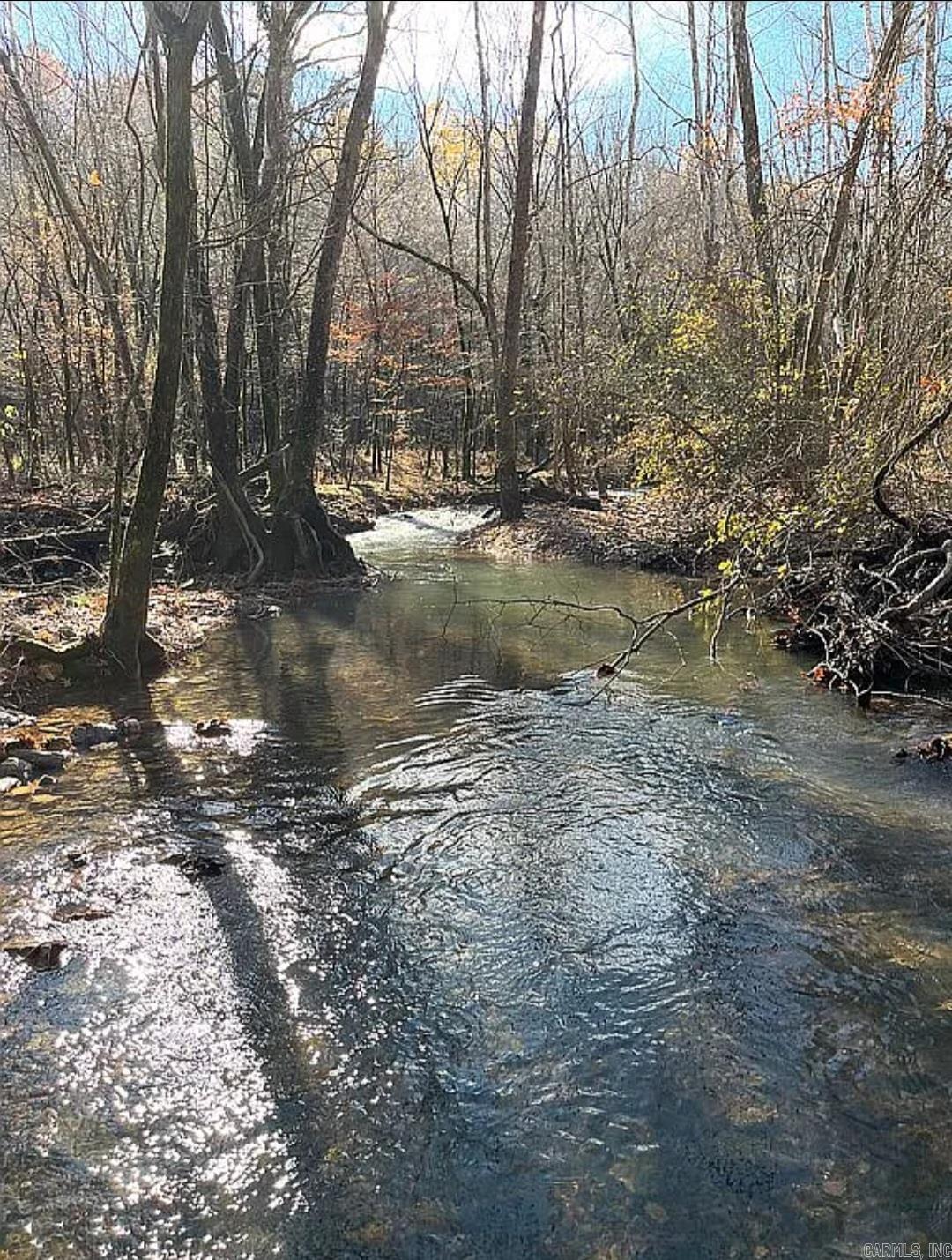 Photo 3 - Vacant Land for sale – Unk  Polk Road 615   Mena, AR