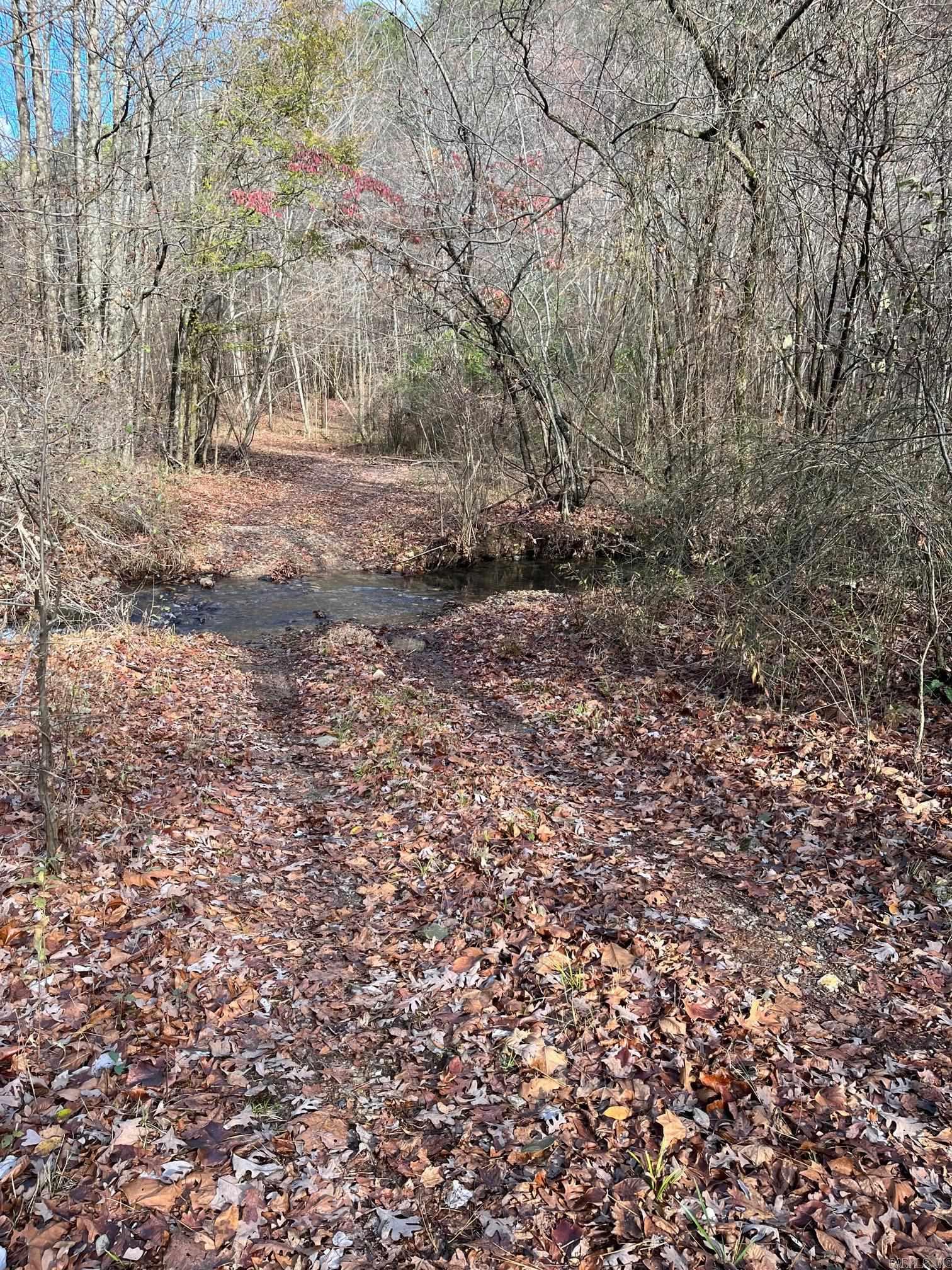 Photo 21 - Vacant Land for sale – Unk  Polk Road 615   Mena, AR