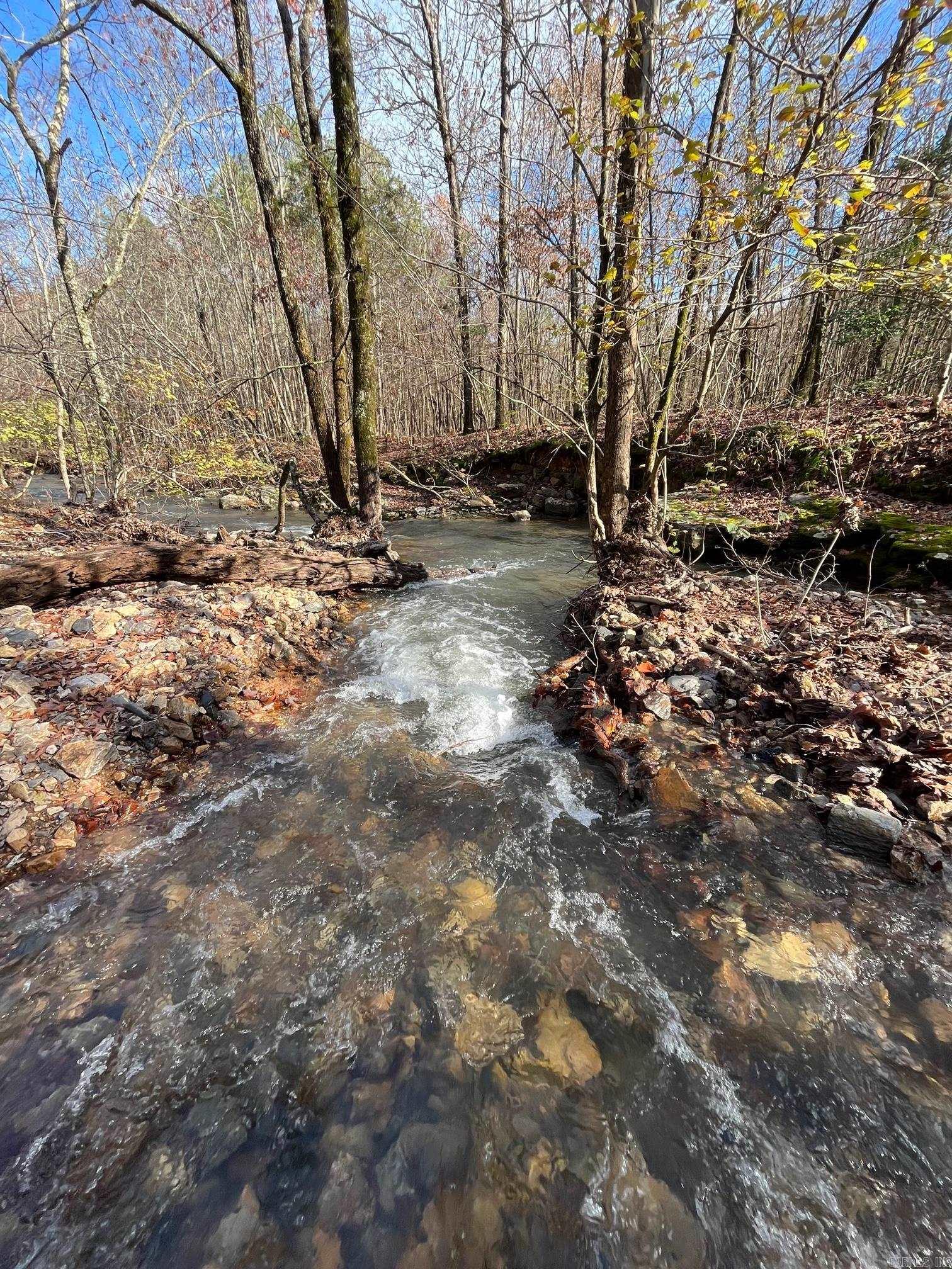 Photo 26 - Vacant Land for sale – Unk  Polk Road 615   Mena, AR