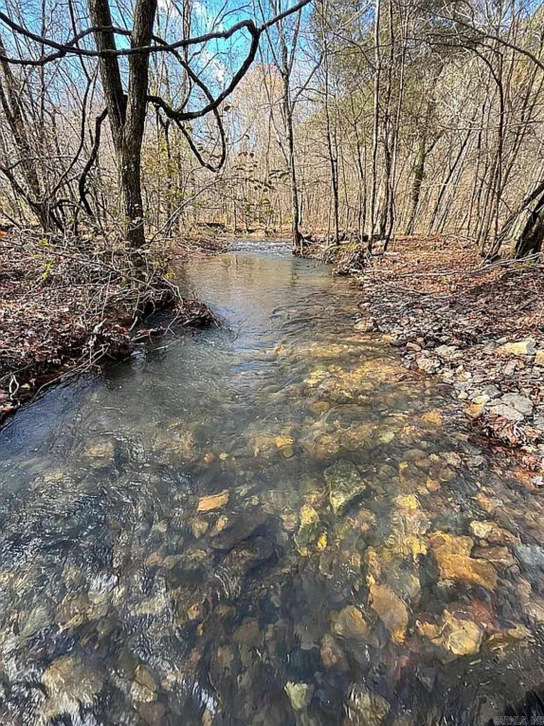 Photo 4 - Vacant Land for sale – Unk  Polk Road 615   Mena, AR