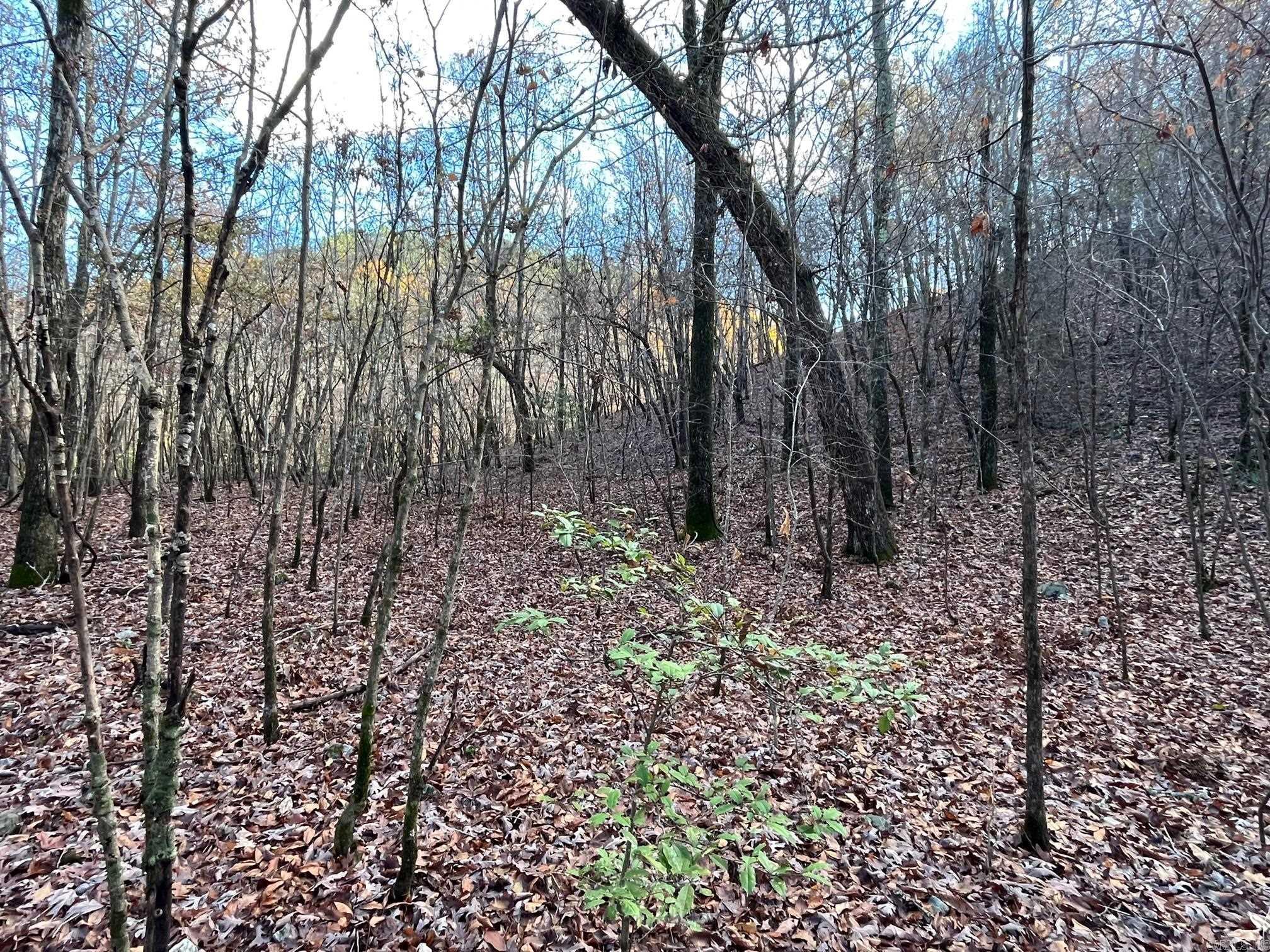 Photo 45 - Vacant Land for sale – Unk  Polk Road 615   Mena, AR