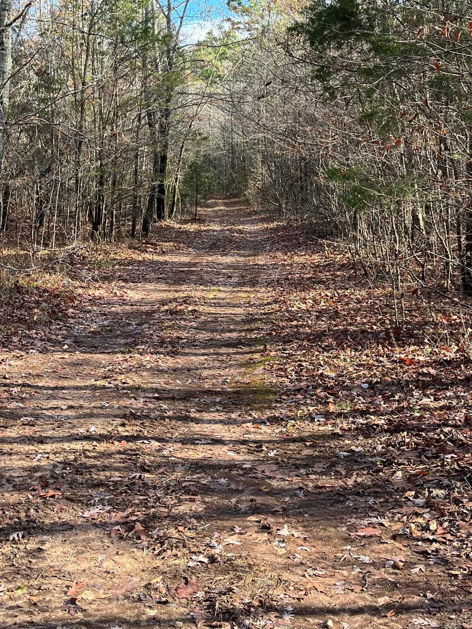 Photo 46 - Vacant Land for sale – Unk  Polk Road 615   Mena, AR