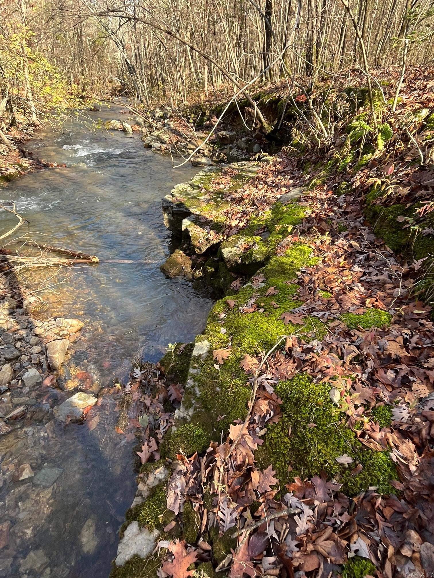 Photo 47 - Vacant Land for sale – Unk  Polk Road 615   Mena, AR
