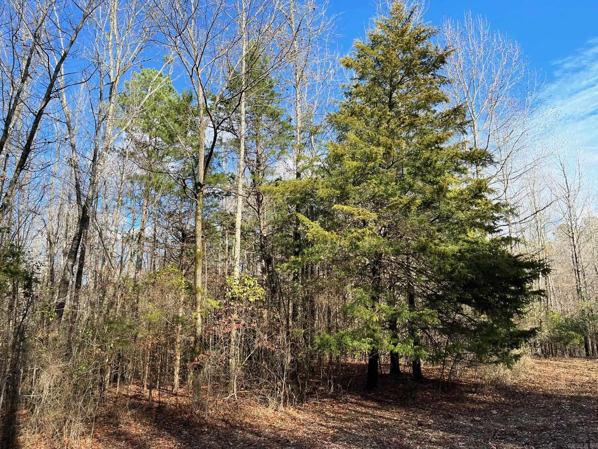 Photo 48 - Vacant Land for sale – Unk  Polk Road 615   Mena, AR