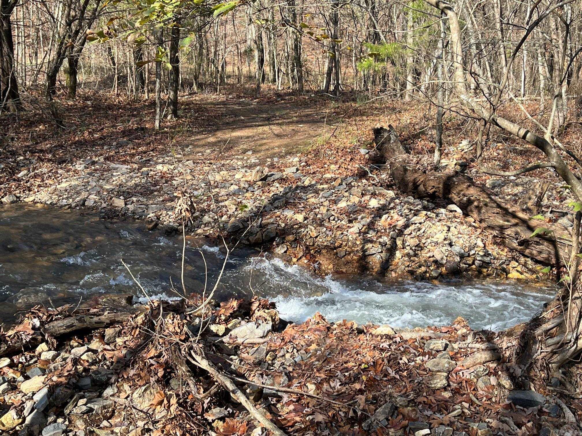 Photo 49 - Vacant Land for sale – Unk  Polk Road 615   Mena, AR