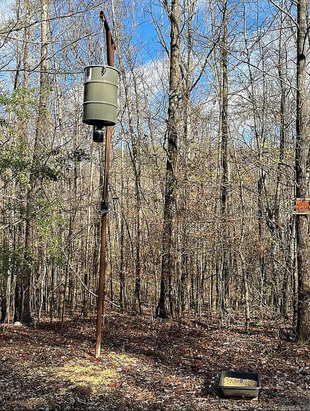 Photo 6 - Vacant Land for sale – Unk  Polk Road 615   Mena, AR