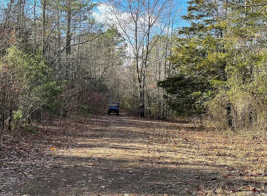 Photo 7 - Vacant Land for sale – Unk  Polk Road 615   Mena, AR