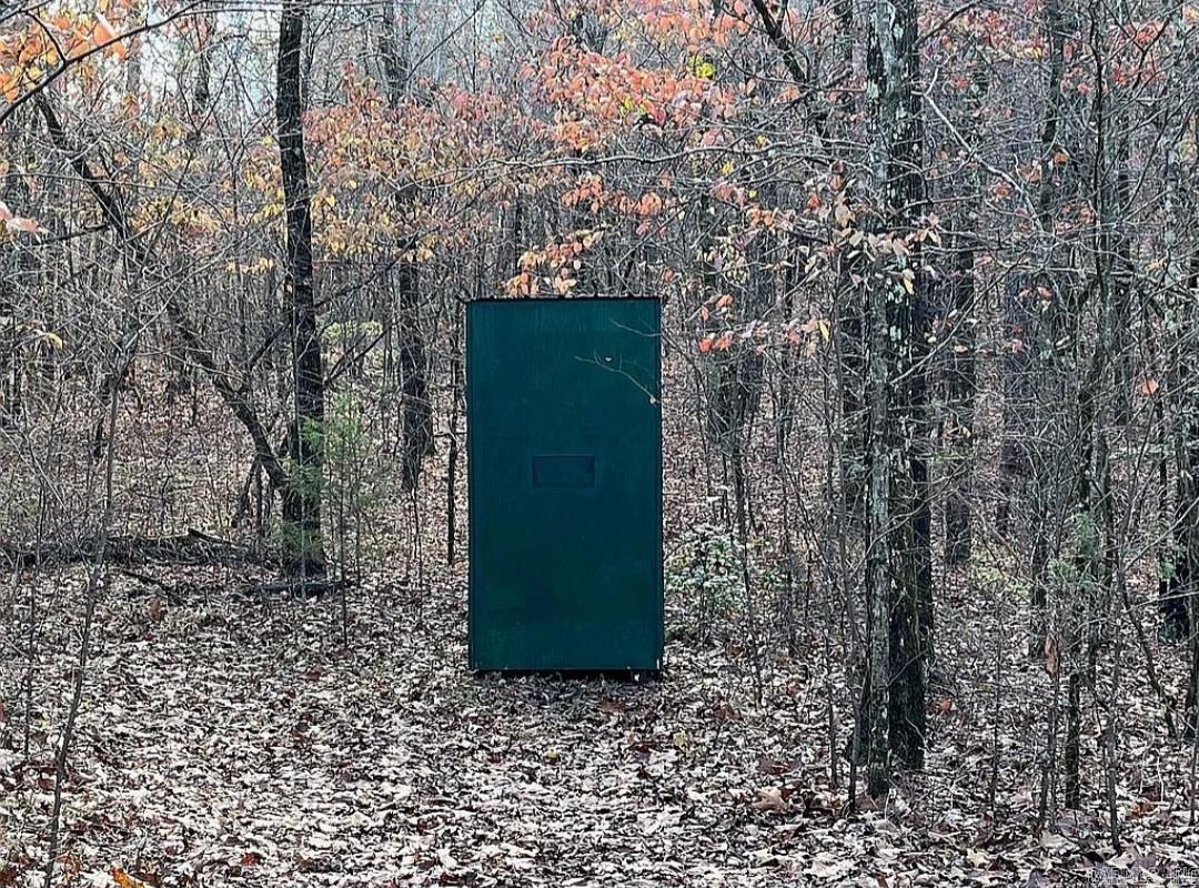 Photo 8 - Vacant Land for sale – Unk  Polk Road 615   Mena, AR