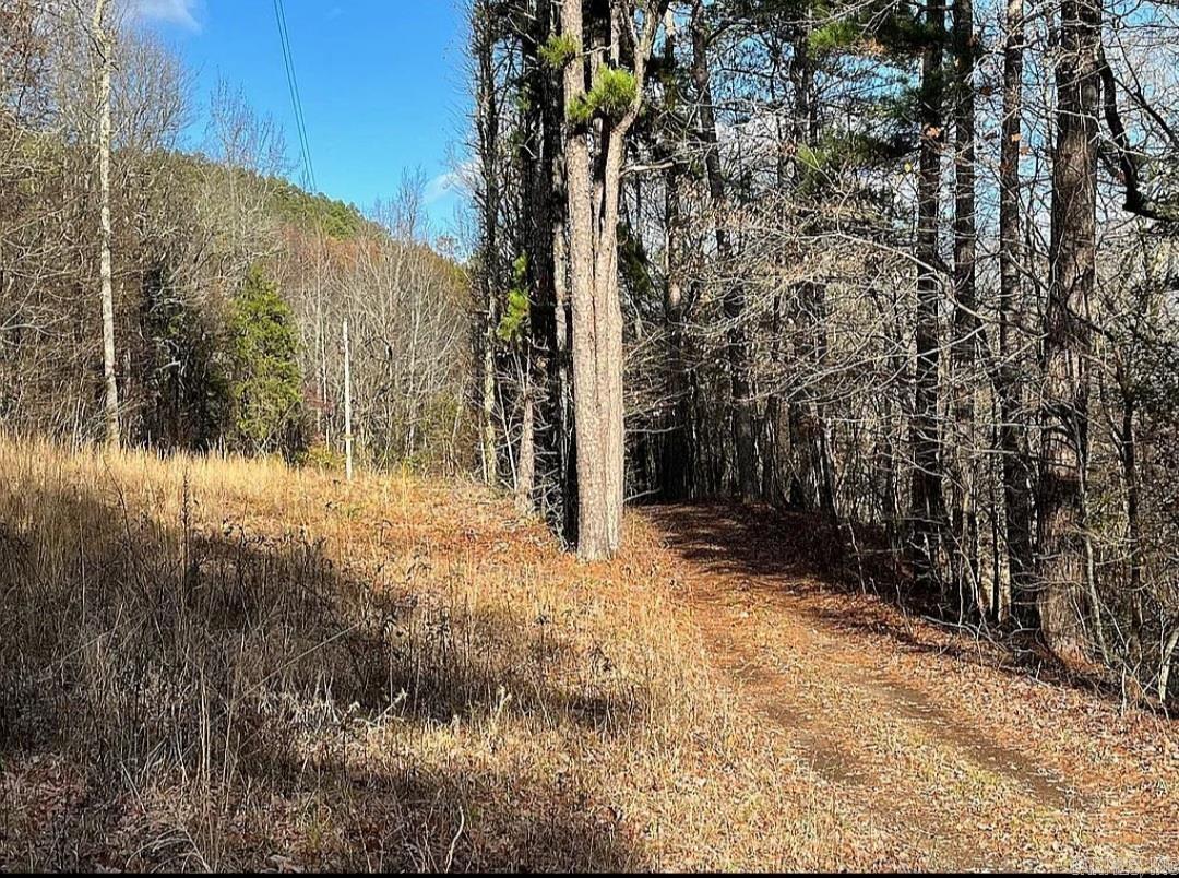 Photo 10 - Vacant Land for sale – Unk  Polk Road 615   Mena, AR