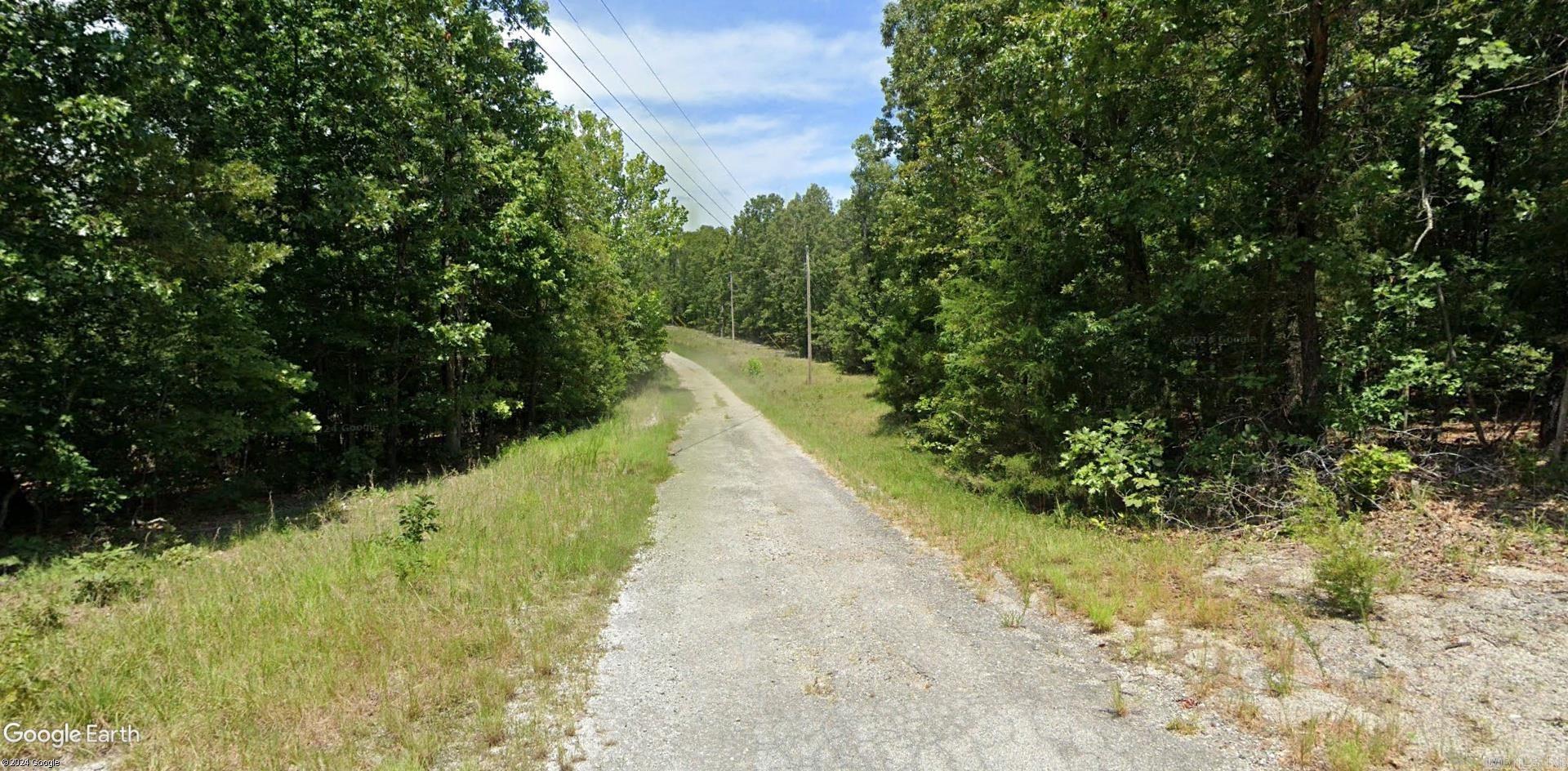 Photo 7 - Vacant Land for sale – Lot 3  Tuskegee   Cherokee Village, AR