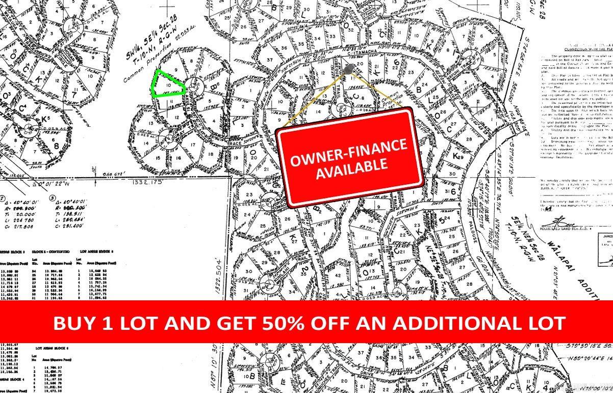 Photo 2 - Vacant Land for sale – Lot 10  Elakulsi   Cherokee Village, AR