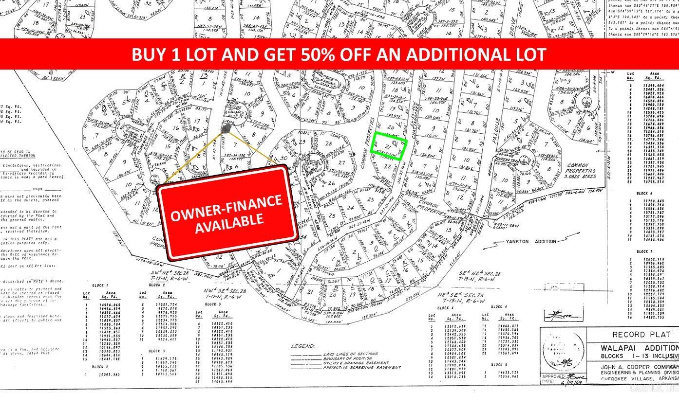 Photo 2 - Vacant Land for sale – Lot 21  Chattahochee   Cherokee Village, AR
