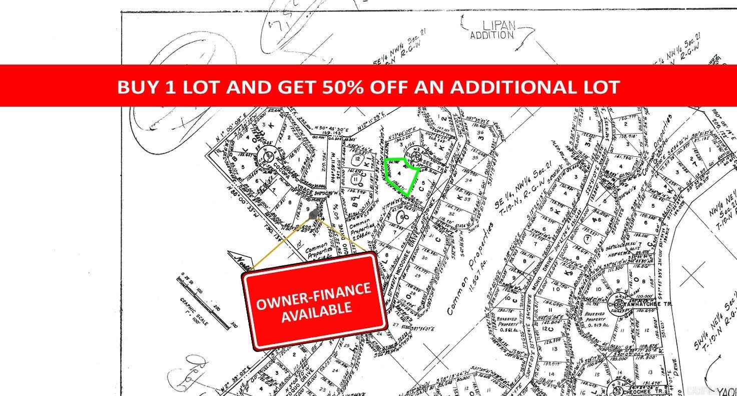 Photo 2 - Vacant Land for sale – Lot 4  Euforsee   Cherokee Village, AR