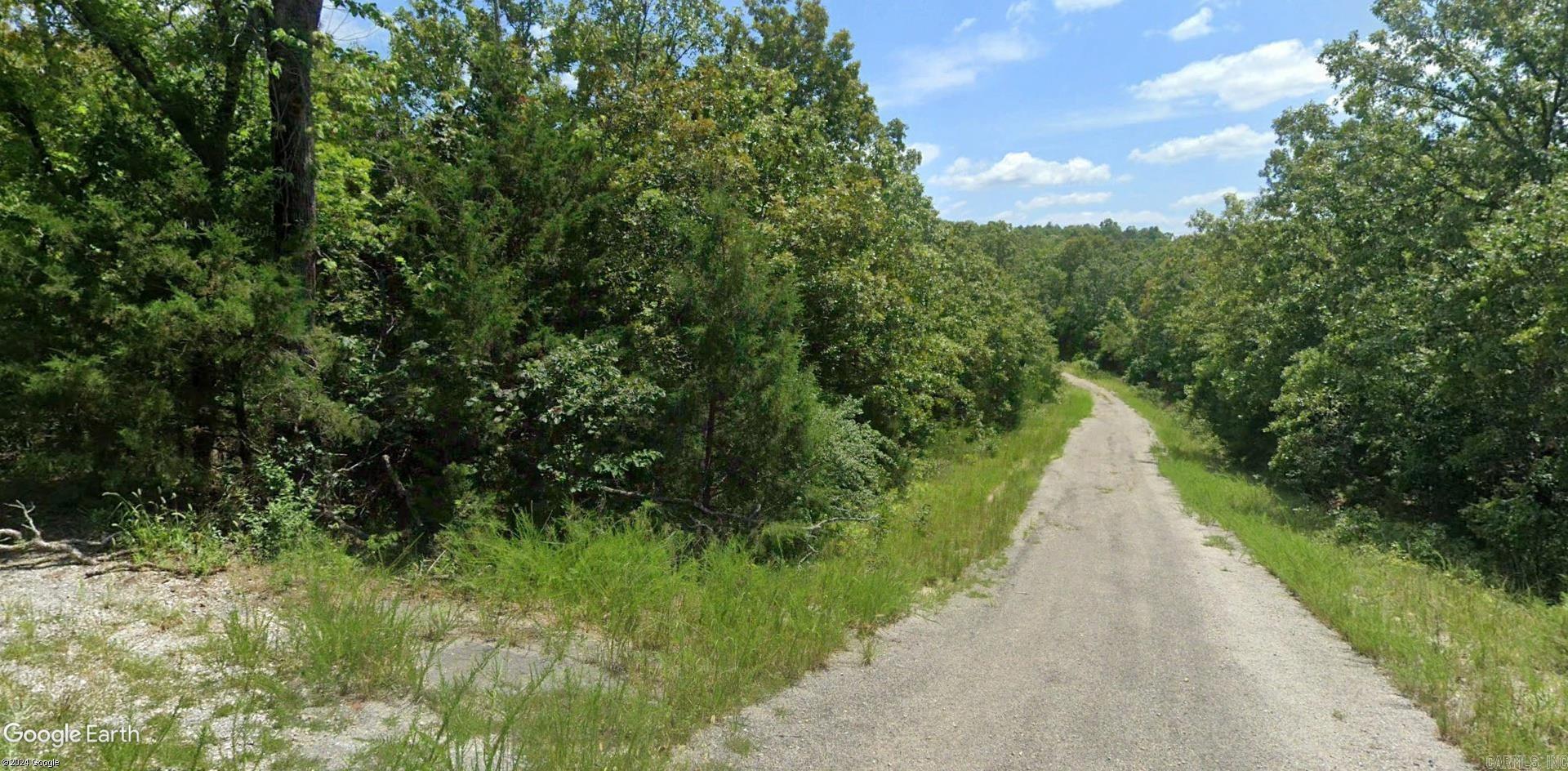 Photo 7 - Vacant Land for sale – Lot 4  Euforsee   Cherokee Village, AR