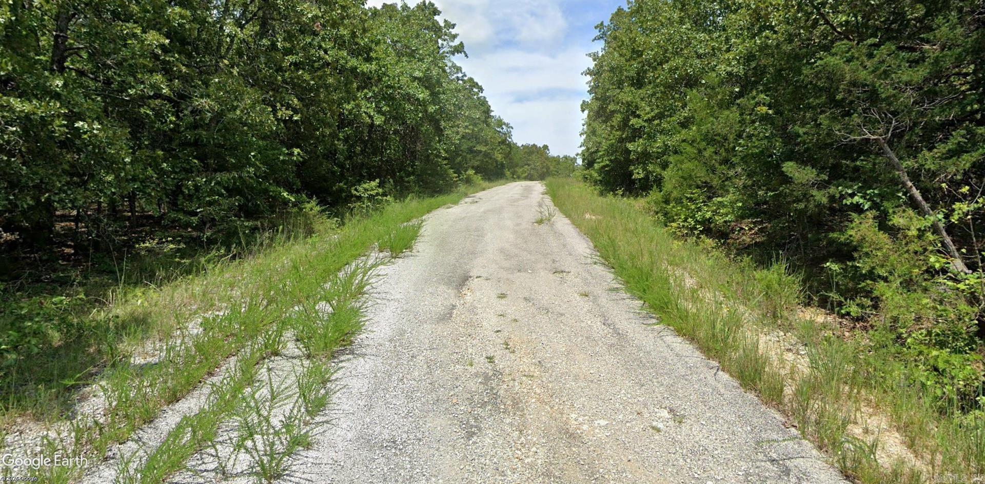 Photo 8 - Vacant Land for sale – Lot 4  Euforsee   Cherokee Village, AR