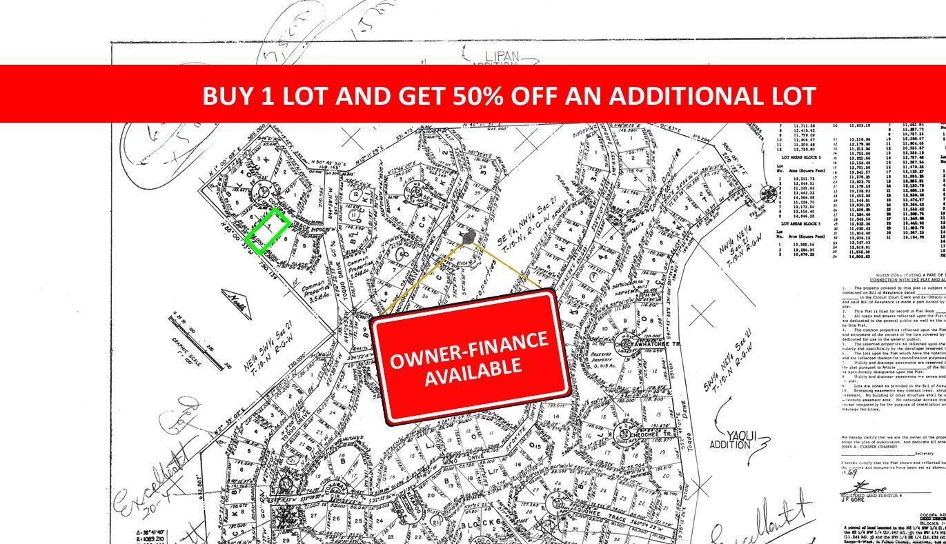 Photo 2 - Vacant Land for sale – Lot 7  Cocopa   Cherokee Village, AR