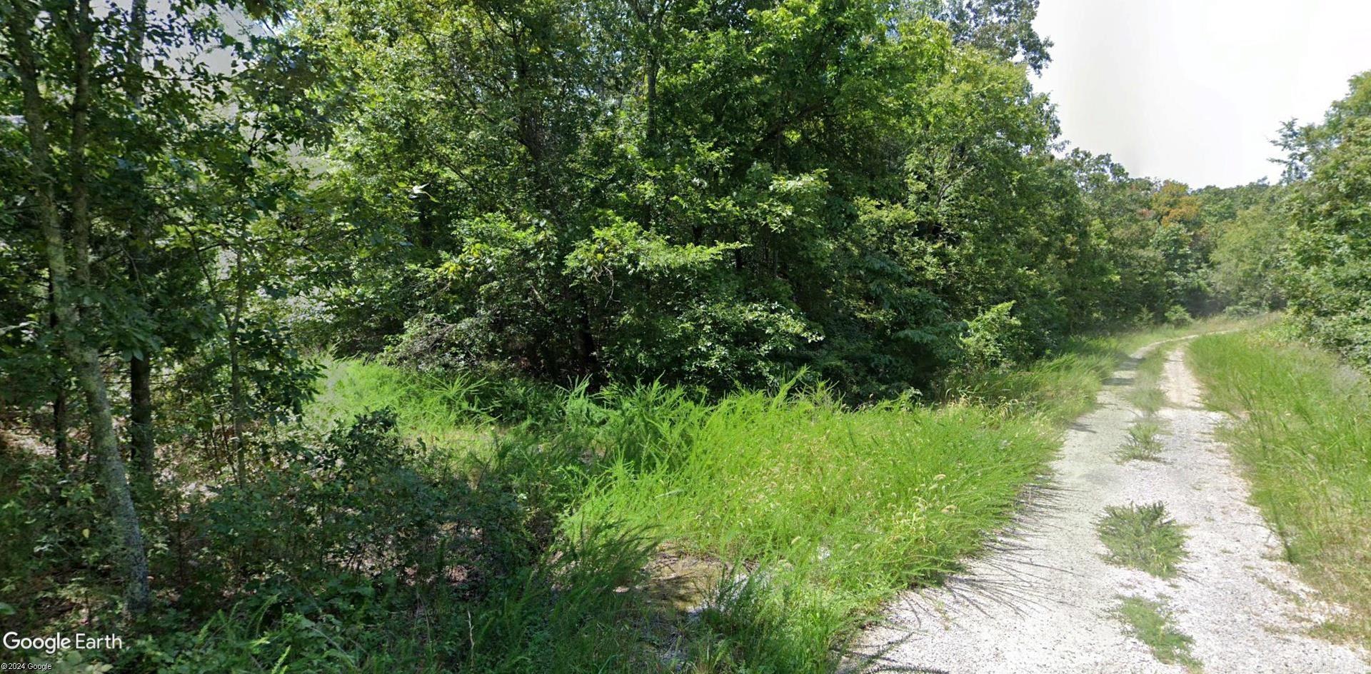 Photo 7 - Vacant Land for sale – Lot 7  Cocopa   Cherokee Village, AR