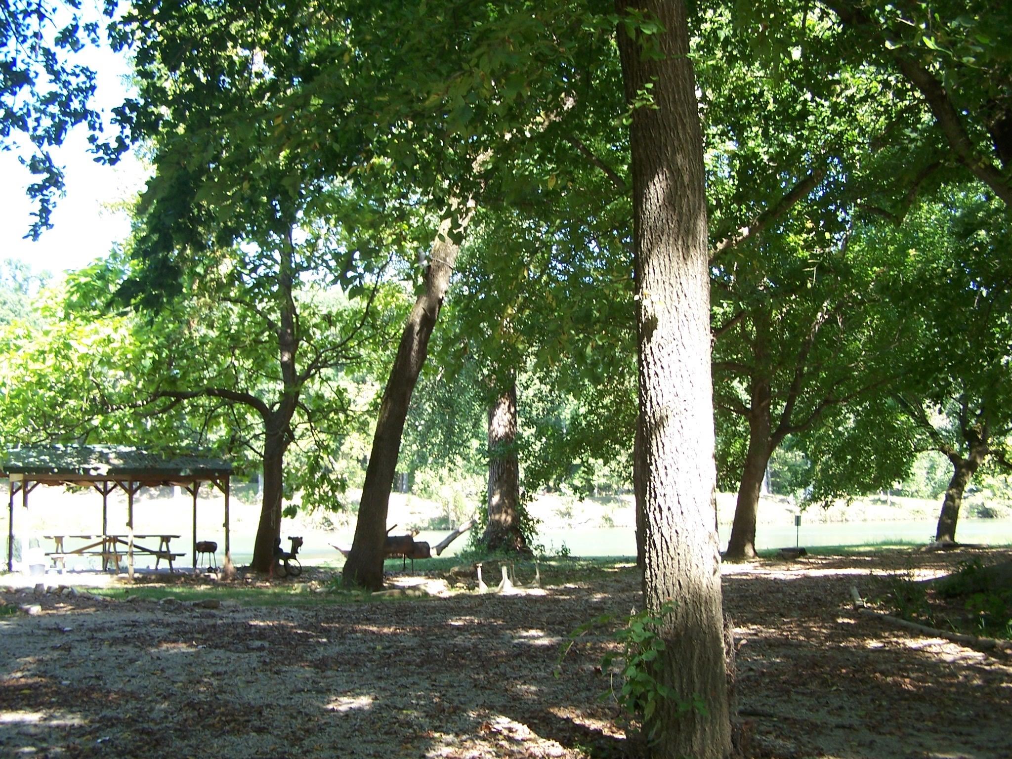 Mammoth Spring AR Real Estate for Sale 00000 Saddler Falls rd MLS