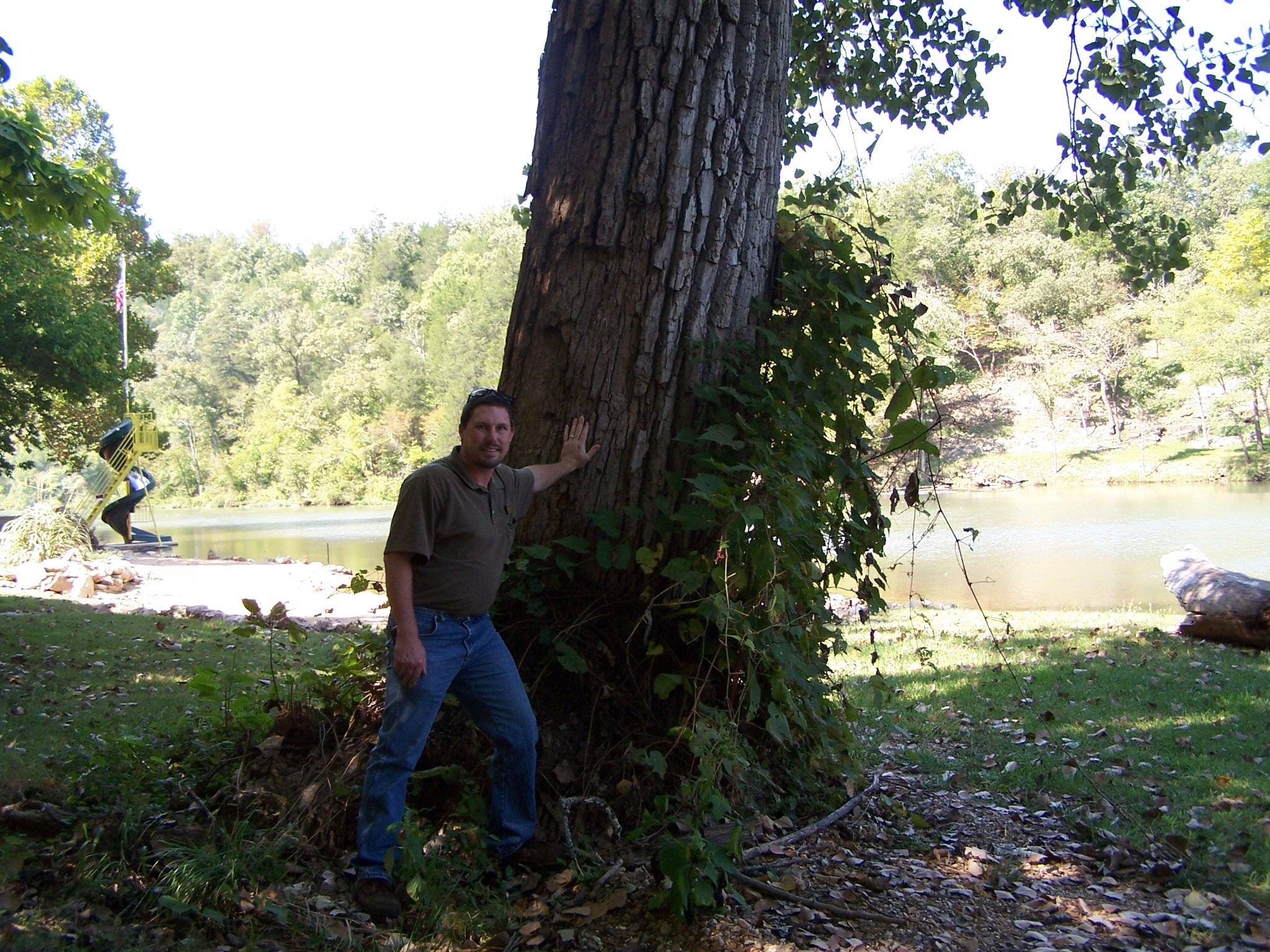 Mammoth Spring AR Real Estate for Sale 00000 Saddler Falls rd MLS