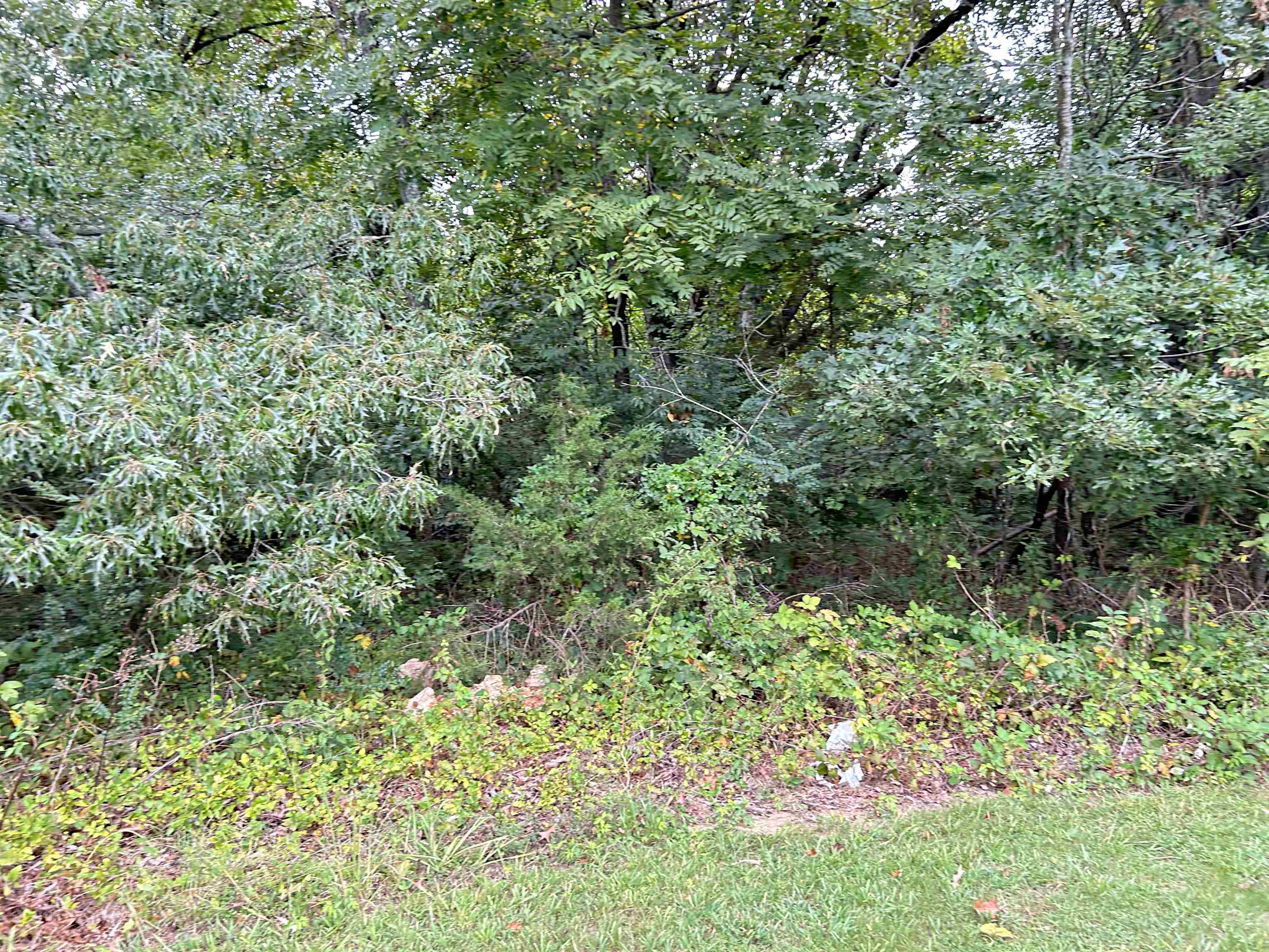 Photo 2 - Vacant Land for sale – Lots 3,4,5  Martin   Ash Flat, AR