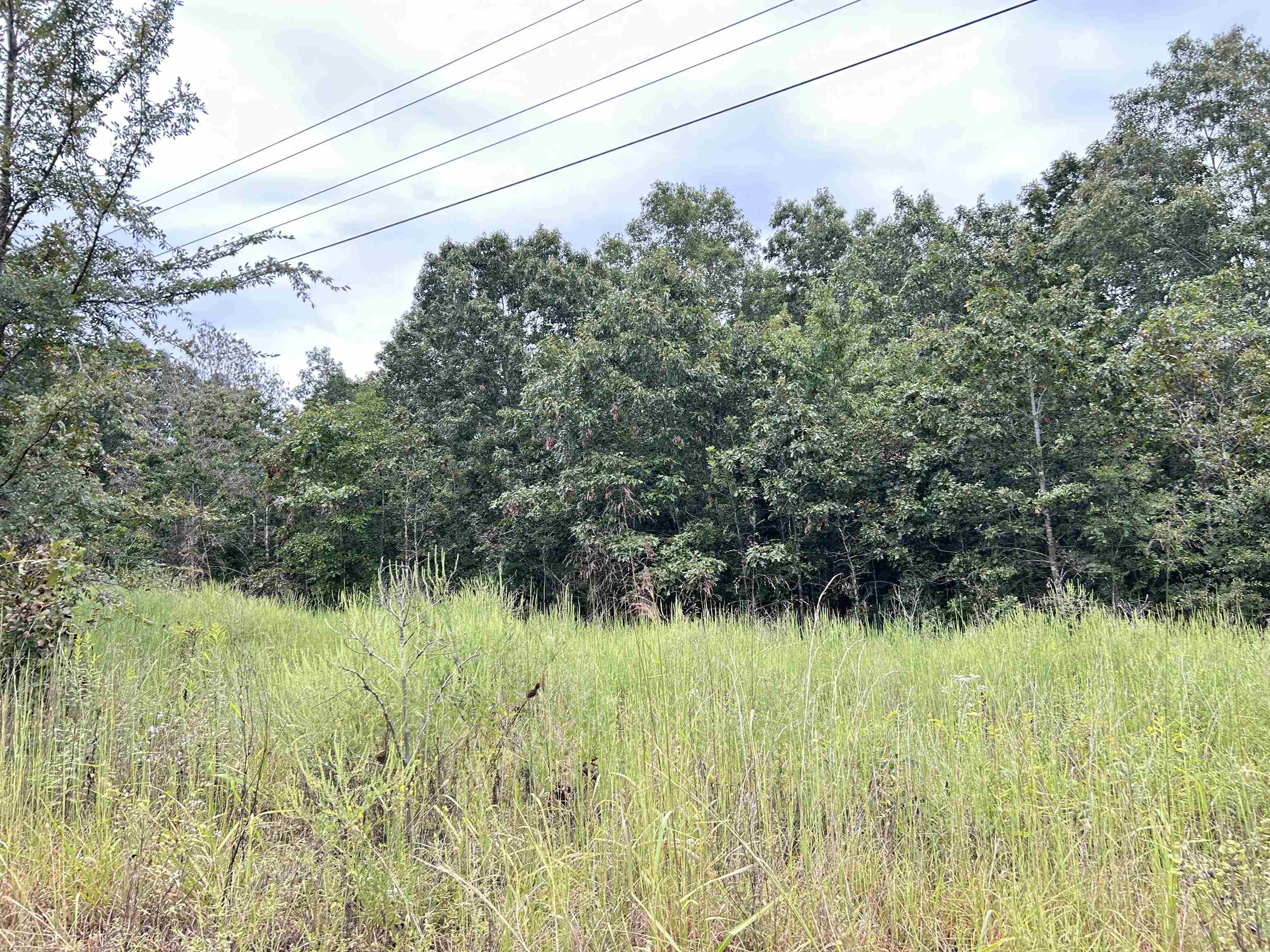 Photo 4 - Vacant Land for sale – Lots 3,4,5  Martin   Ash Flat, AR