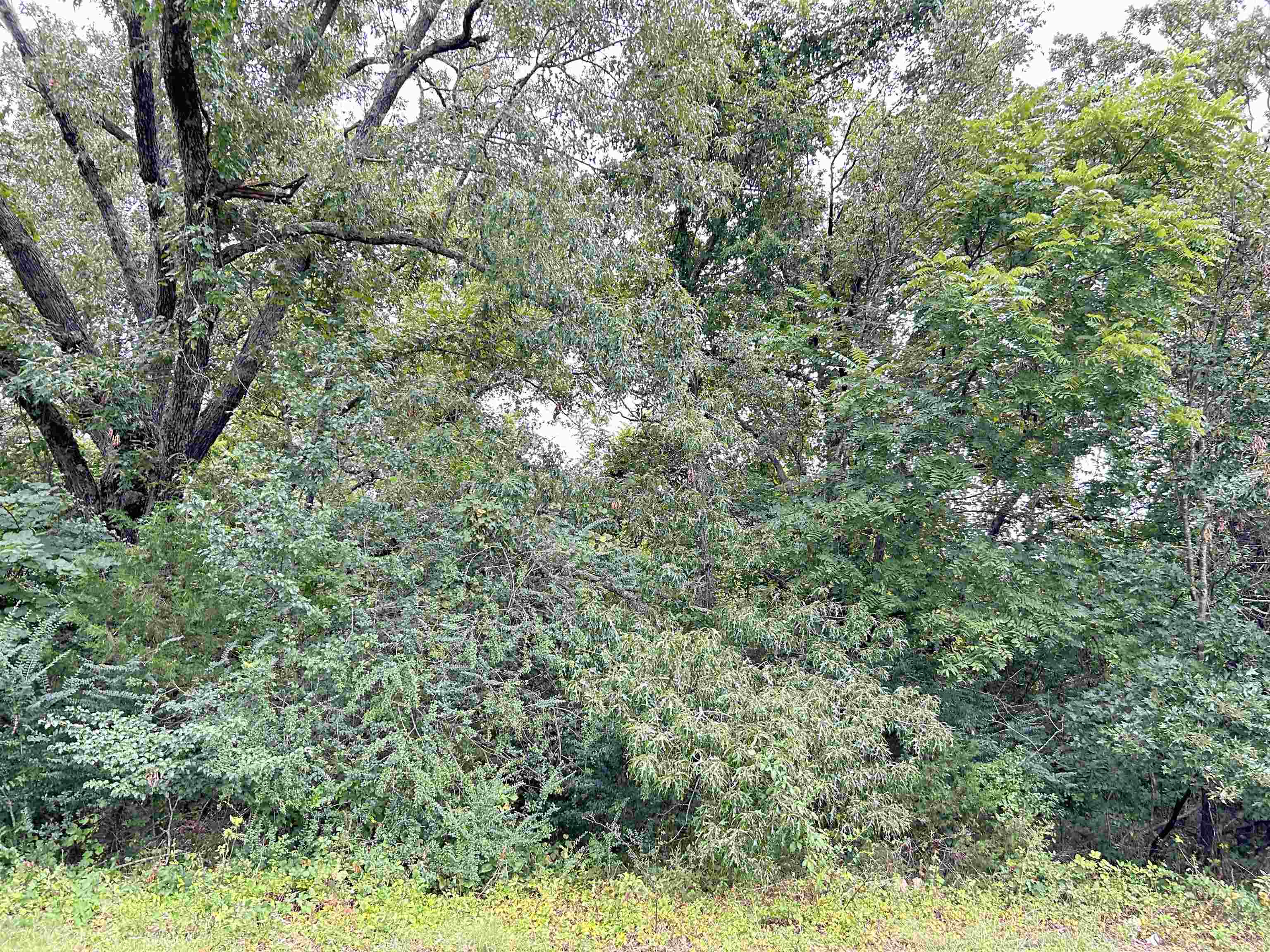 Photo 3 - Vacant Land for sale – Lots 7-12  Martin   Ash Flat, AR