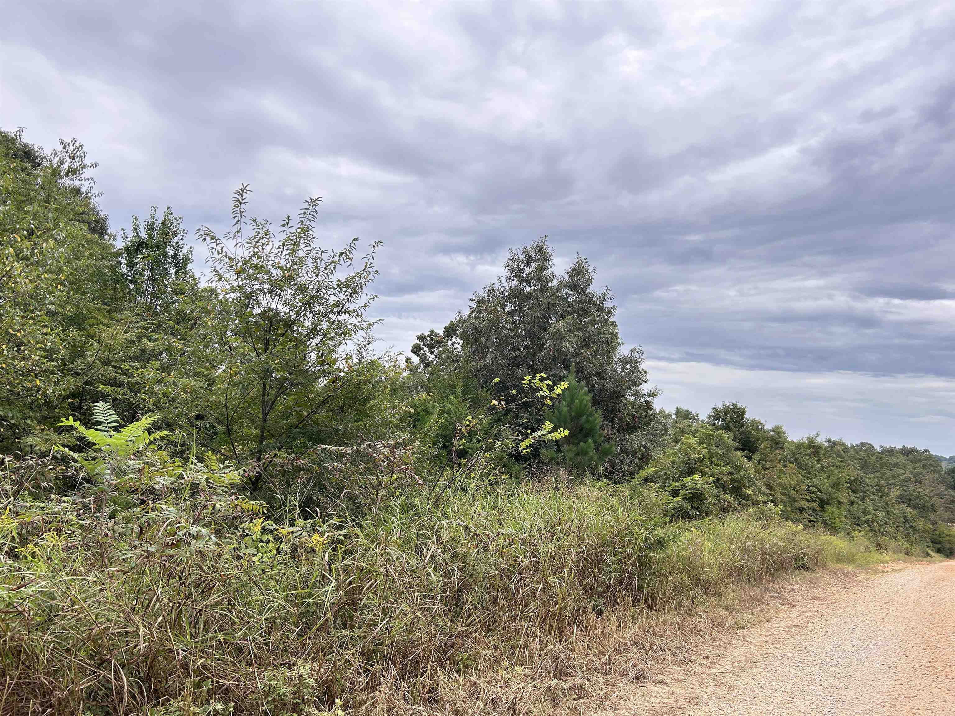 Photo 4 - Vacant Land for sale – Lots 7-12  Martin   Ash Flat, AR