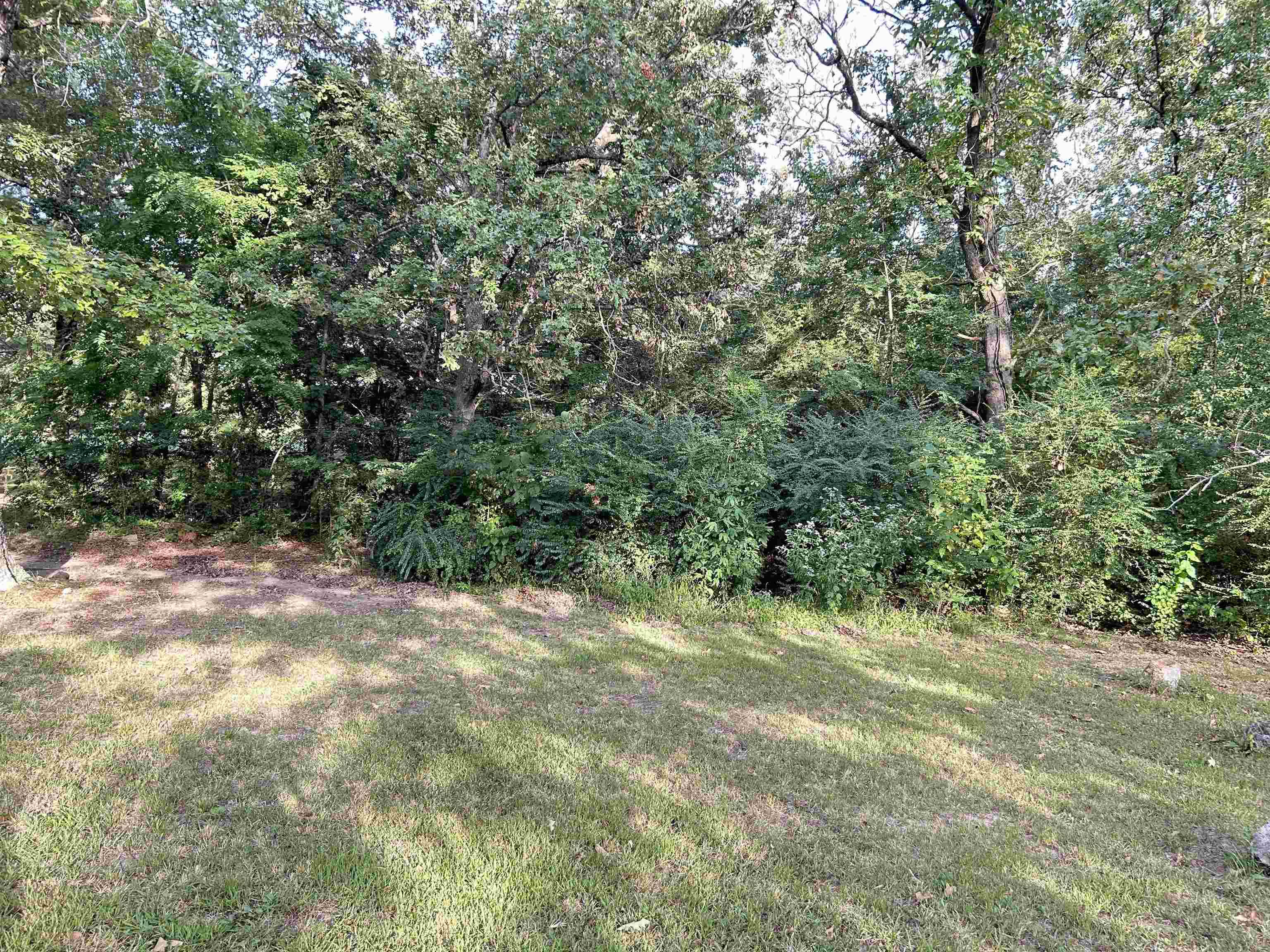 Photo 4 - Vacant Land for sale – Lot 35 N Circle   Ash Flat, AR