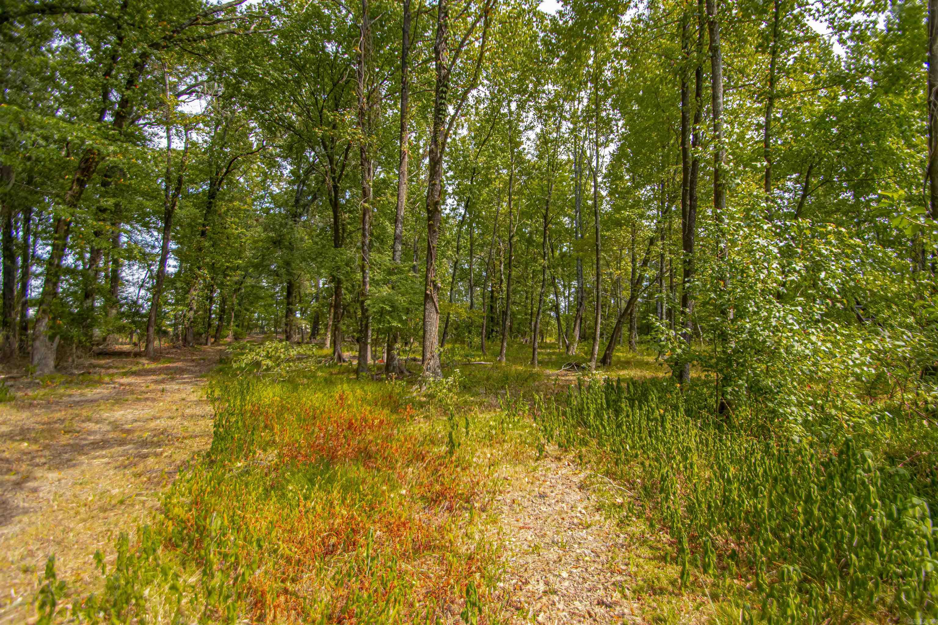 Photo 15 - Vacant Land for sale – 7400 & 7410  Large Oak Lane   Maumelle, AR
